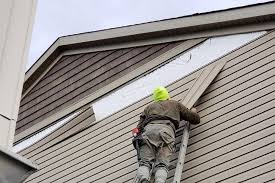 Best Custom Siding Design  in Talty, TX